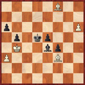 Yunguo Wan - Loek van Wely 46. Lf3 1-0